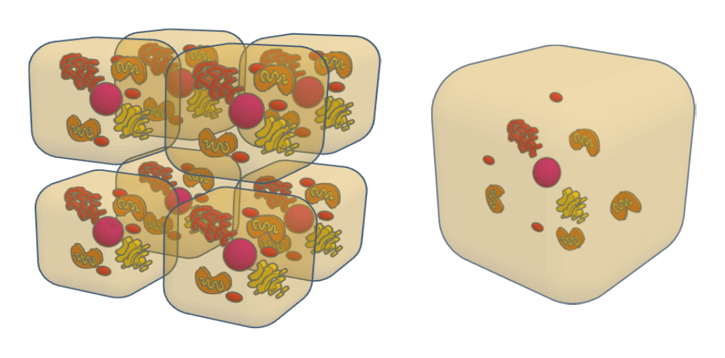Why the smaller the cell, the larger the area