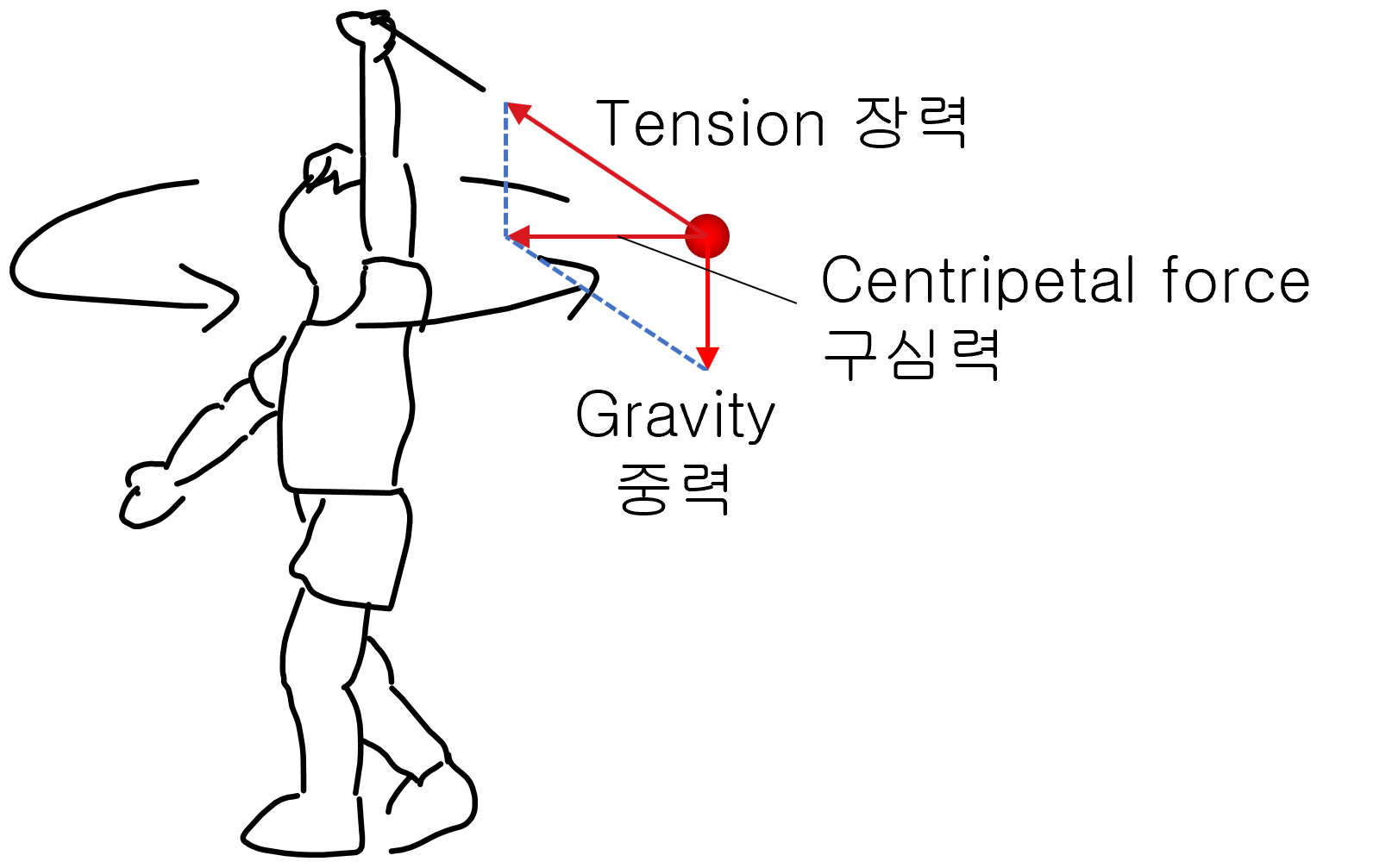 Centripetal force