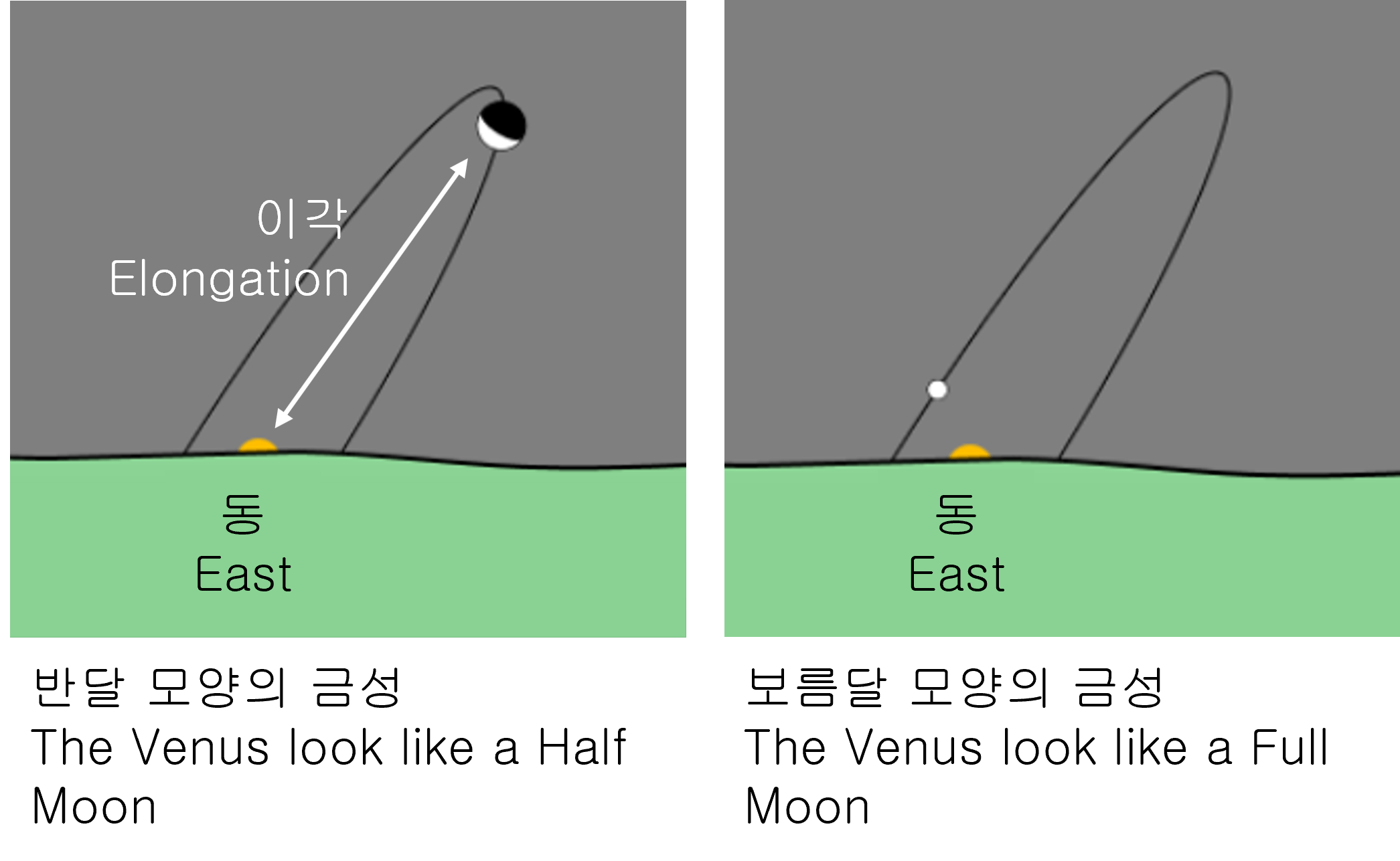 Elongation and Phase of Inner Planet